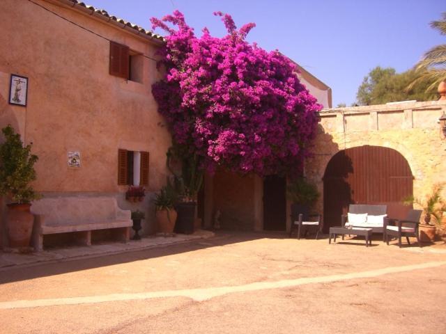 Finca Can Rotger Cas Concos Kültér fotó